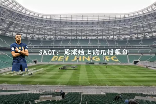 SAOT:足球场上的几何革命